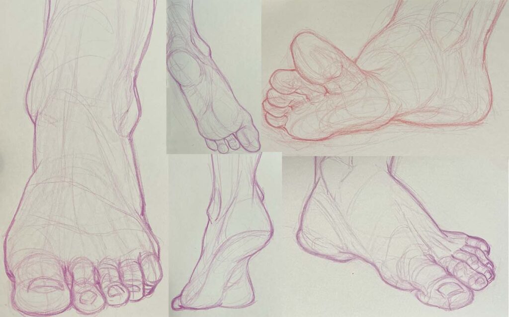 Tiled image of an assortment of col-erase feet studies